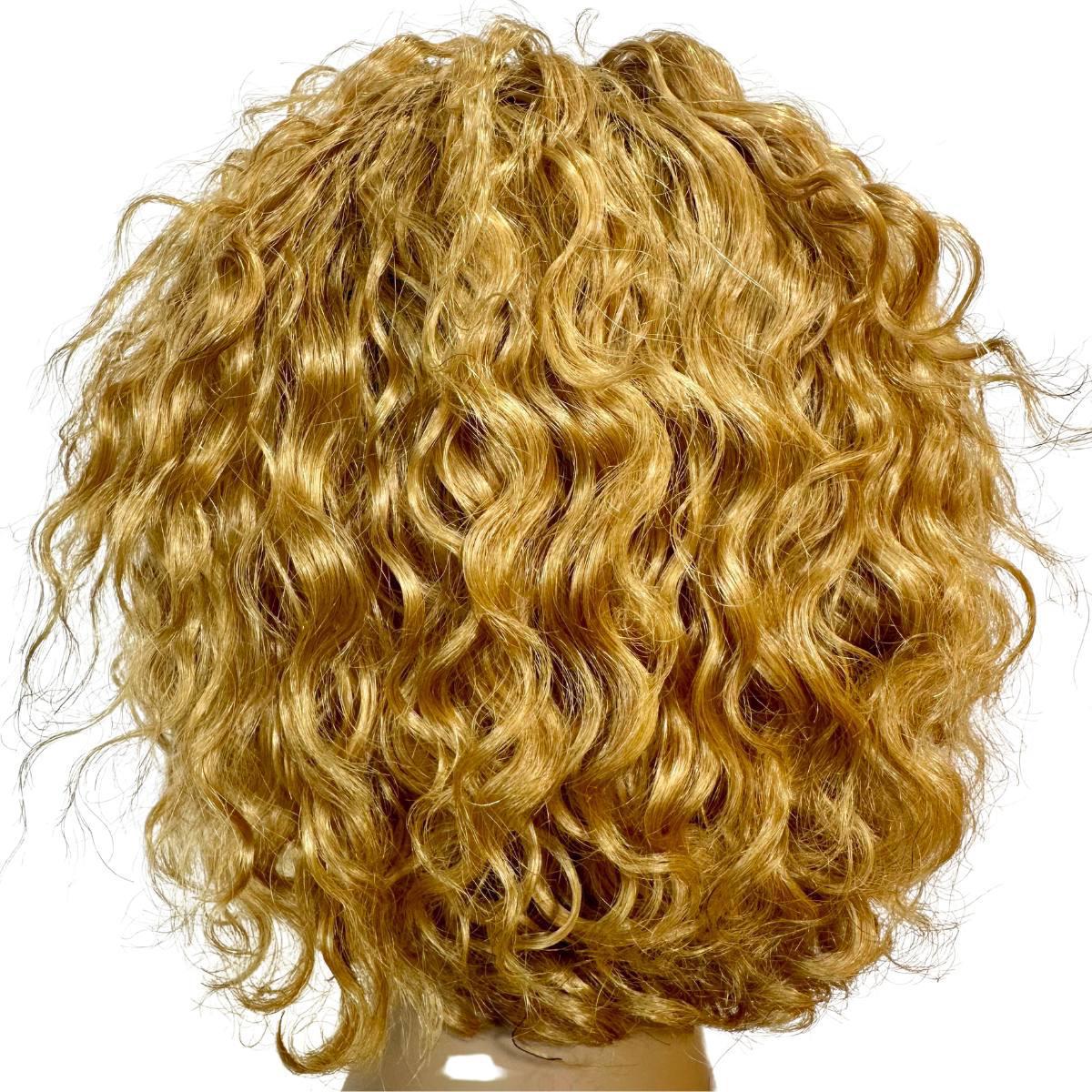 Honey Blonde Curly 13x1 Transparent Lace Front Pixie Wig Back