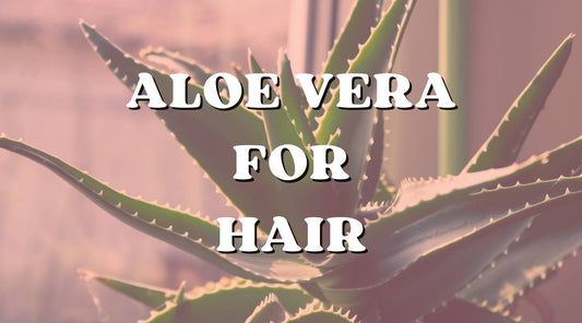 Is Aloe Vera Food for Your Hair? We Think So! - Private Label