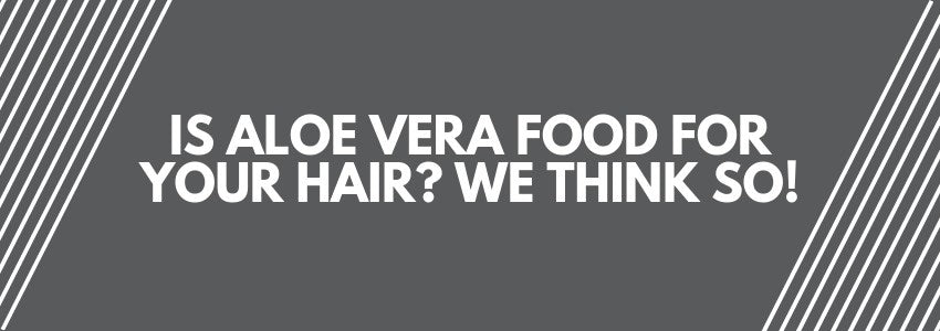 Is Aloe Vera Food For Your Hair? We Think So!