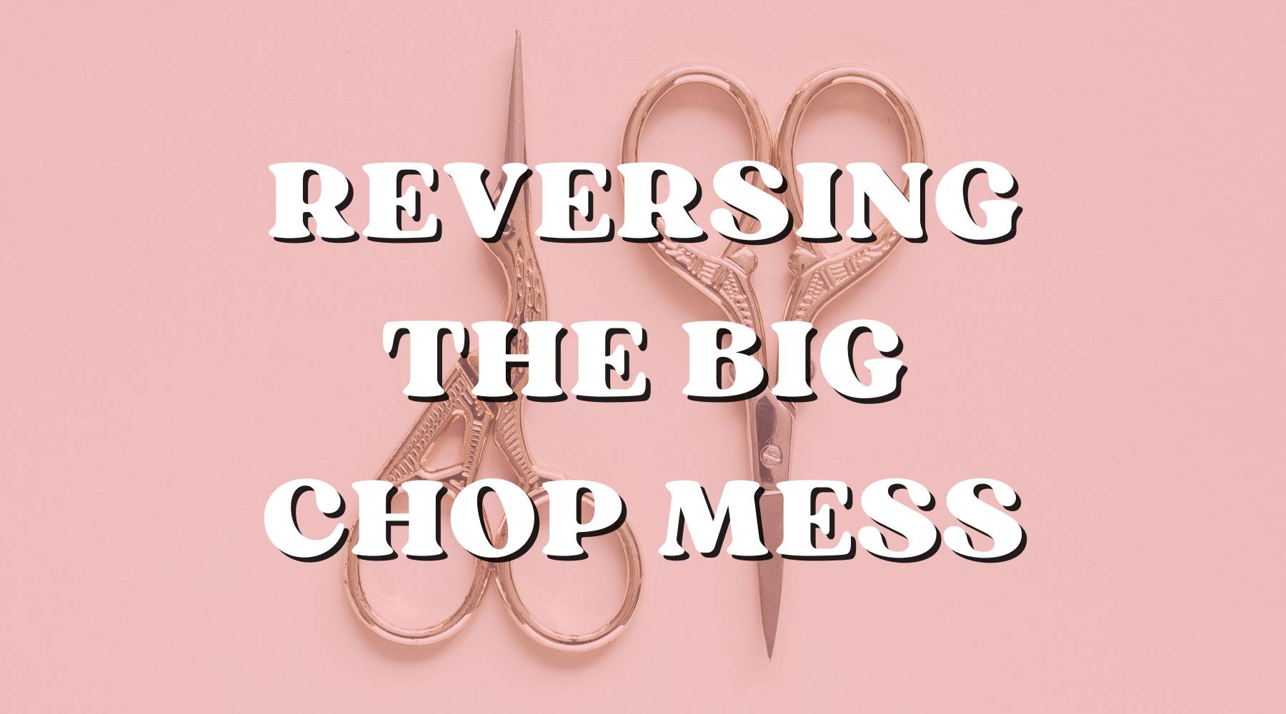 Damage Be Gone: The Big Chop Turned into a Big Mess - Private Label
