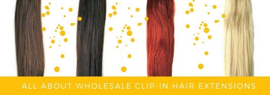 all about wholesale hair clip-in hair extensions