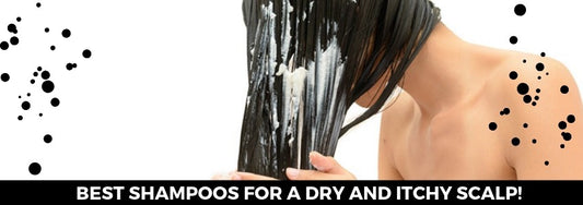 best shampoos for a dry and itchy scalp