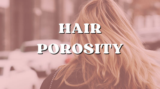 hair porosity test increasing your hair care regimen