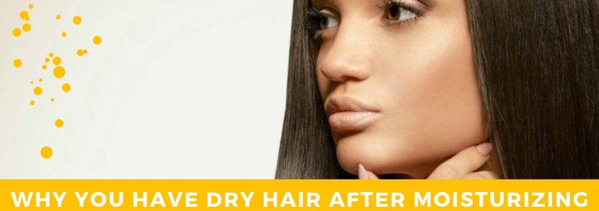 why you have dry hair after moisturizing