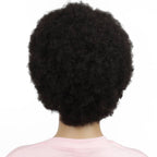Natural Black Transparent Full Lace 100% Human Hair Afro Wig - Private Label