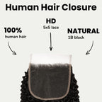 Afro Kinky Curly 5x5 HD Lace 100% Human Hair Closure - Private Label