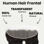 Brazilian Body Wave 13x4 Transparent Lace Human Hair Frontal - Private Label