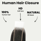 Brazilian Body Wave 2x6 HD Lace Human Hair Closure - Private Label