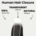 Brazilian Body Wave 2x6 Transparent Lace Human Hair Closure - Private Label