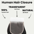 Brazilian Body Wave 4x4 Transparent Lace Human Hair Closure - Private Label