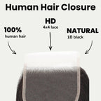 Brazilian Straight 4x4 HD Lace 100% Human Hair Closure - Private Label