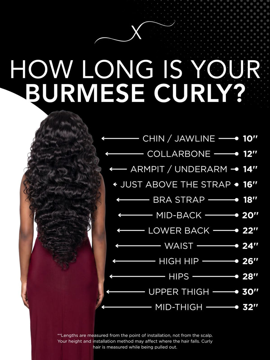 Length chart for Burmese Curly 100% Human Hair Bundle Deals, showing where each available length falls on a model.