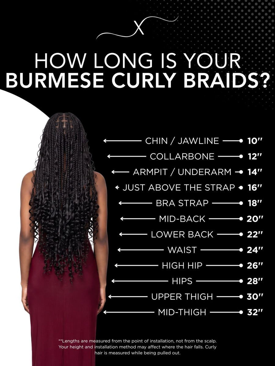 Length chart for Burmese Curly Bulk 100% Human Braiding Hair, showing where each available length falls on a model.