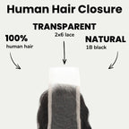 Deep Wave 2x6 Transparent Lace Human Hair Closure - Private Label