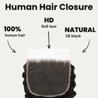 Deep Wave 6x6 HD Lace Human Hair Closure - Private Label