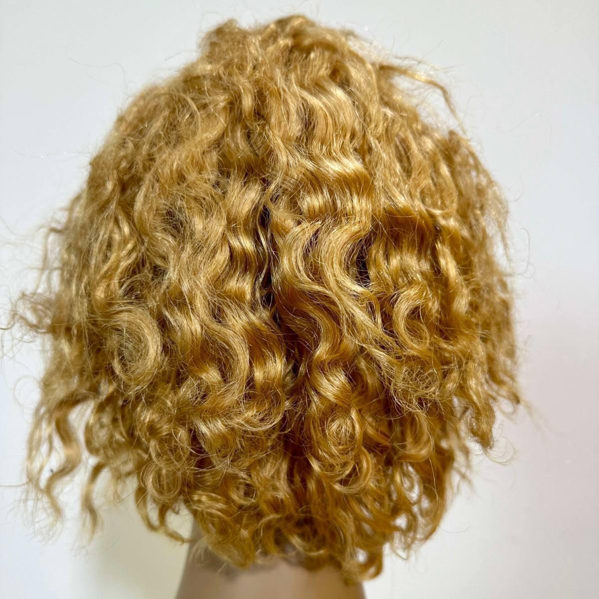 Honey Blonde Ombre Curly 13x1 Transparent Lace Front Pixie Wig Back