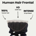Jet Black Body Wave 13x6 HD Lace Human Hair Frontal - Private Label