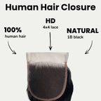 Jet Black Body Wave 4x4 HD Lace Human Hair Closure - Private Label