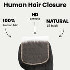 Jet Black Body Wave 6x6 HD Lace Human Hair Closure - Private Label