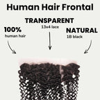 Kinky Curly 13x4 Transparent Lace Human Hair Frontal - Private Label
