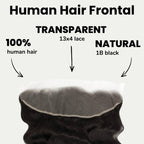 Loose Wave 13x4 Transparent Lace Human Hair Frontal - Private Label