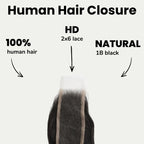 Loose Wave 2x6 HD Lace Human Hair Closure - Private Label