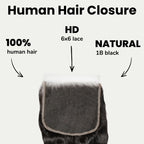 Loose Wave 6x6 HD Lace Human Hair Closure - Private Label