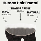 Malaysian Body Wave 13x4 Transparent Lace Human Hair Frontal - Private Label