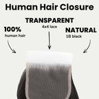 Malaysian Body Wave 4x4 Transparent Lace Human Hair Closure - Private Label