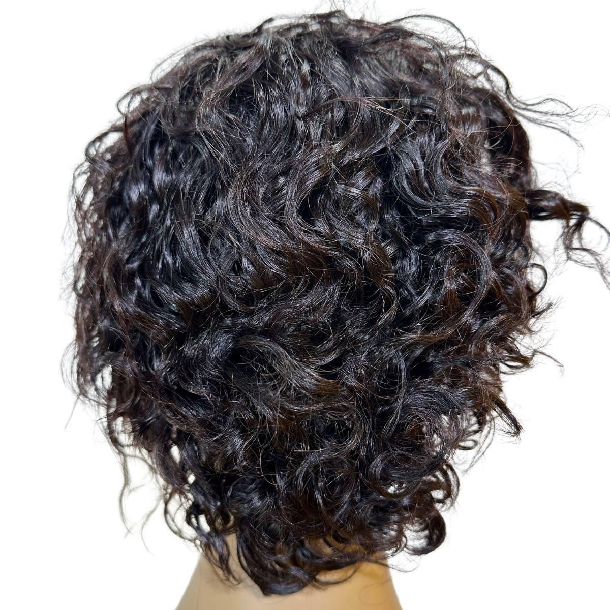 Natural Black Curly 13x1 Transparent Lace Front Pixie Wig Back