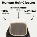 Raw Indian Curly 5x5 Transparent Lace 100% Human Hair Closure - Private Label