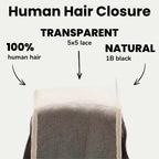 Raw Indian Wavy 5x5 Transparent Lace 100% Human Hair Closure - Private Label