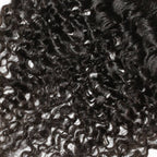 Raw Burmese Curly 13x4 HD Lace Human Hair Frontal - Private Label