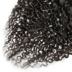 Raw Burmese Curly 13x4 HD Lace Human Hair Frontal - Private Label