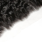 Raw Burmese Curly 13x4 HD Lace Human Hair Frontal - Private Label