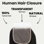 Straight 5x5 Transparent Lace Human Hair Closure - Private Label