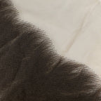 Raw Vietnamese Body Wave 13x4 Swiss Lace Human Hair Frontal - Private Label