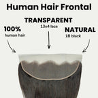 Yaki Straight 13x4 Transparent Lace Human Hair Frontal - Private Label