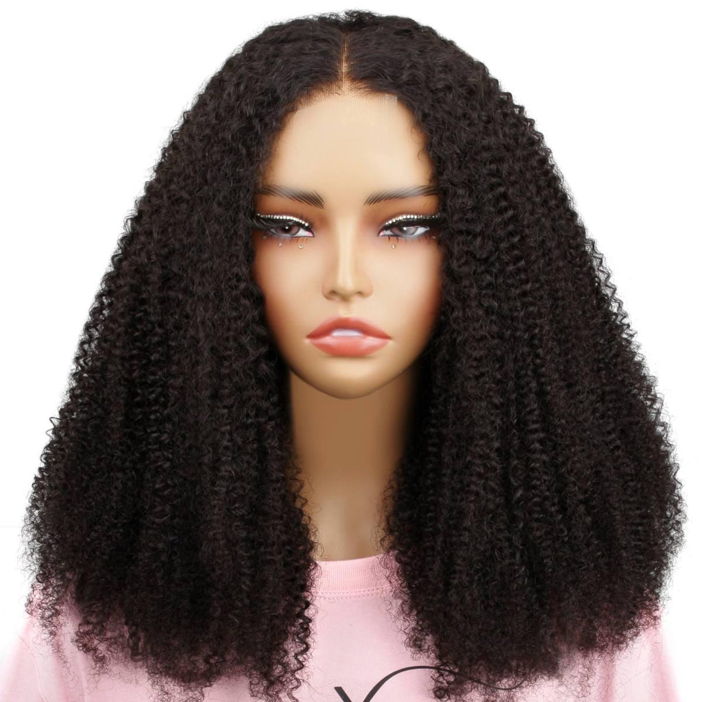 Afro Kinky Curly 2x6 HD Lace Closure 100% Human Hair Glueless Wig - Private Label