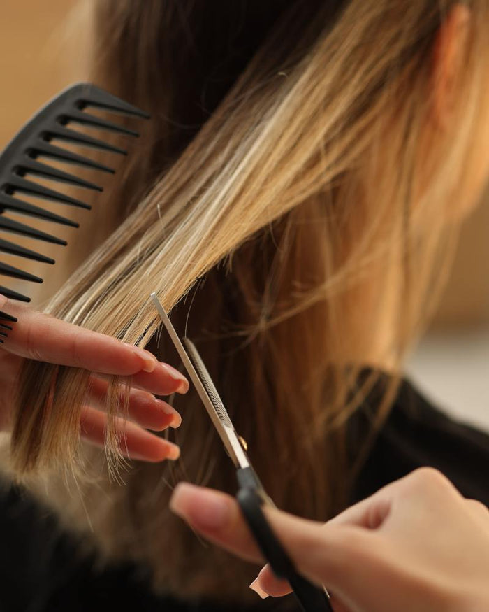 Test Stylist