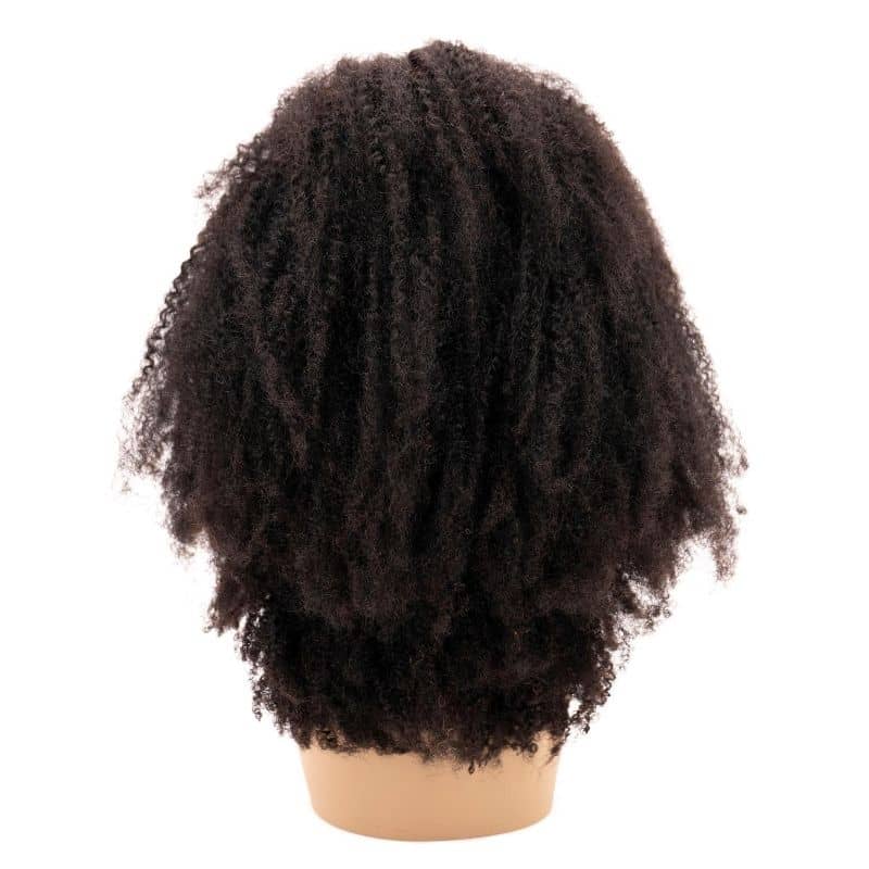 Afro Kinky Curly 4x4 Transparent Lace 100% Human Hair Closure Wig - Private Label