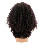 Afro Kinky Curly 4x4 Transparent Lace 100% Human Hair Closure Wig - Private Label